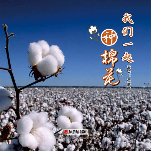 成人黄色免费电影
